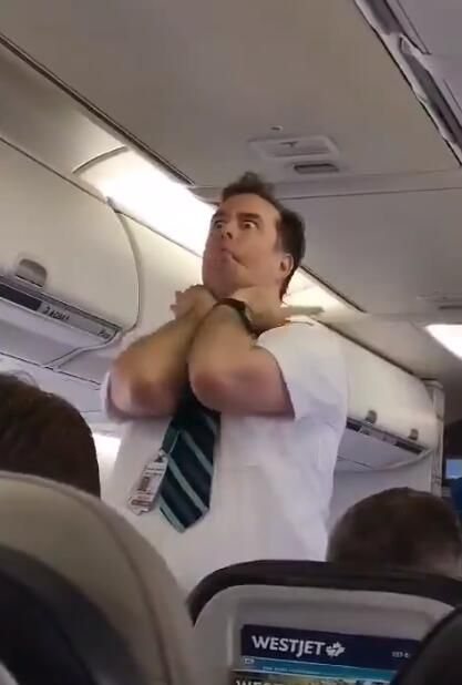戲精!西捷航空男空乘爆笑講解安全須知 乘客笑翻-海運拚箱價(jia) 格
