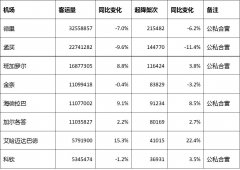2019上半年印度機場客運量數據與發展簡述-阿曼的空運