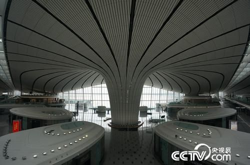 大興(xing) 機場啟航倒計時！“金鳳淩空”之姿先睹為(wei) 快-海運拚箱價(jia) 格