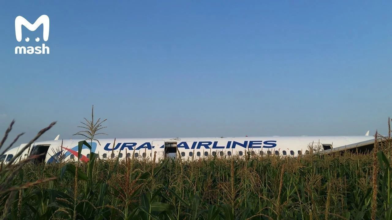 俄烏(wu) 拉爾航空客機遭遇鳥擊引擎起火緊急備降 10人受傷(shang) 