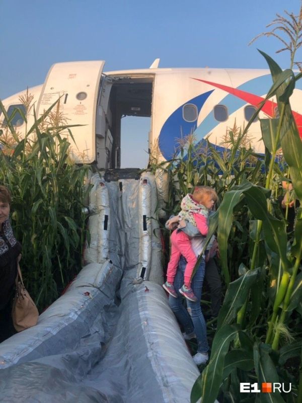 視頻：俄迫降客機撞鳥瞬間 戰鬥民族的“薩利機長”-海運價(jia) 格
