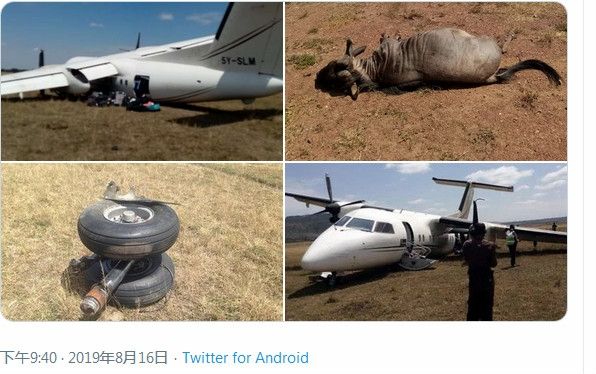 肯尼亞(ya) 一架飛機降落時與(yu) 角馬相撞，機上乘客均未受傷(shang) -海運費在線查詢
