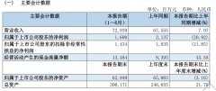 南航集團發布2019上半年報-土耳其的空運