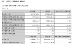 深圳機場上半年利潤淨利潤3.08億元，同比減少16.7%-阿聯酋的國際快遞