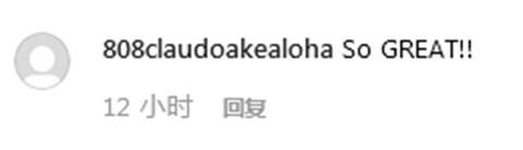一匹小馬“坐”飛機 網友調侃：給它上杯咖啡吧！-香港國際快遞