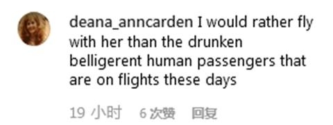 一匹小馬“坐”飛機 網友調侃：給它上杯咖啡吧！-香港國際快遞