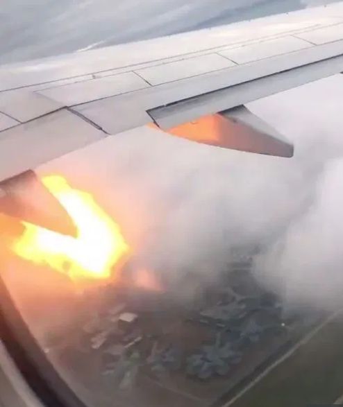 加拿大一飛機發動機遭遇鳥擊起火 安全返航