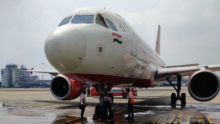 印度航空飛機上發現蜜蜂 航班被迫再次延誤