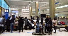 去機場坐飛機你最擔心什麽？調查顯示為取行李-空運價格