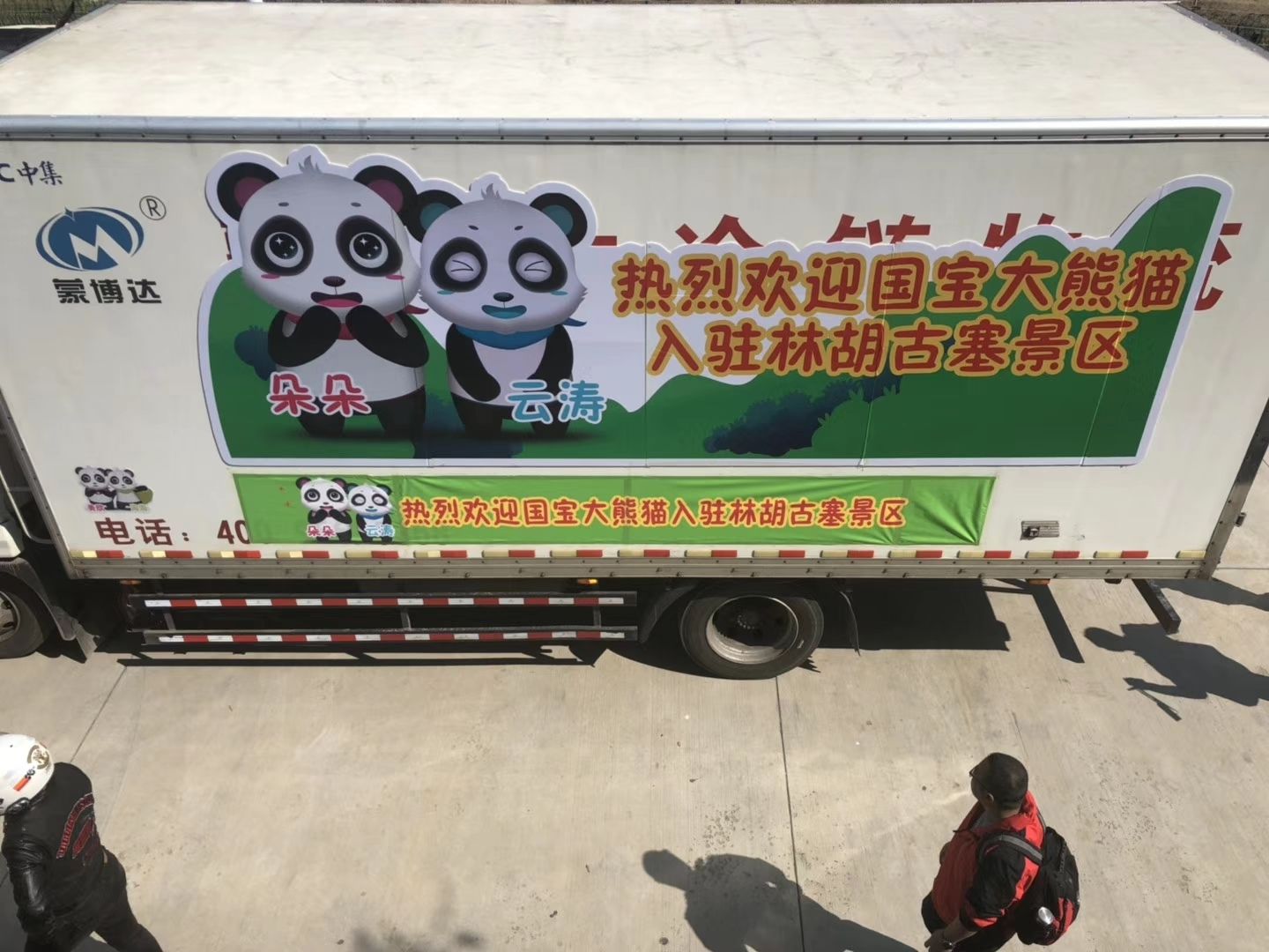 內(nei) 蒙古民航地服公司貨運部傾(qing) 情保障國寶大熊貓抵呼