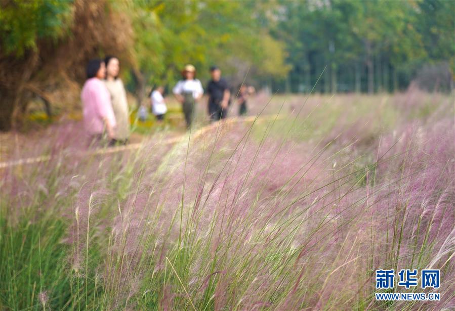 青島西海岸新區保稅物流中心（B型）通過封關(guan) 驗收