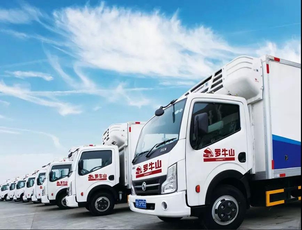 椰海大道延長線全麵通車助力羅牛山冷鏈物流更快更“鮮”