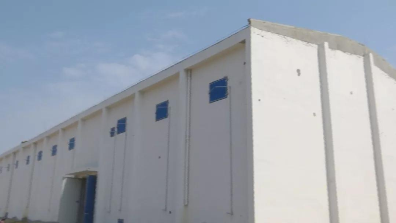 洋浦：加快建設國際糧油物流加工產(chan) 業(ye) 園