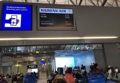 寧波國際快遞-法蘭克福機場兩架飛機相撞 後續航班延誤21小時