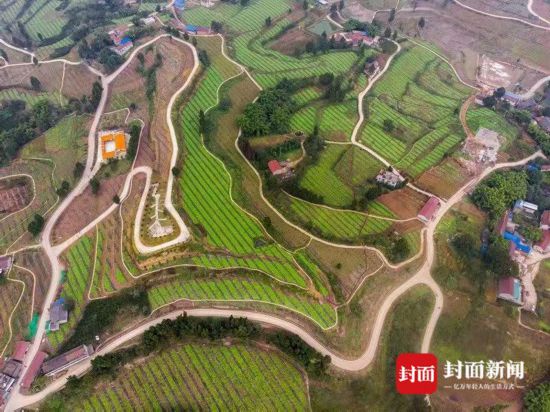 瞄準國家級現代農(nong) 業(ye) 產(chan) 業(ye) 園區資陽萬(wan) 畝(mu) 佛山橘海將“大變臉”