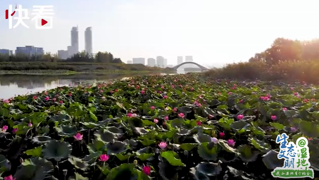 “塞上江南” 明珠璀璨——我和寧夏有個(ge) 約會(hui) 
