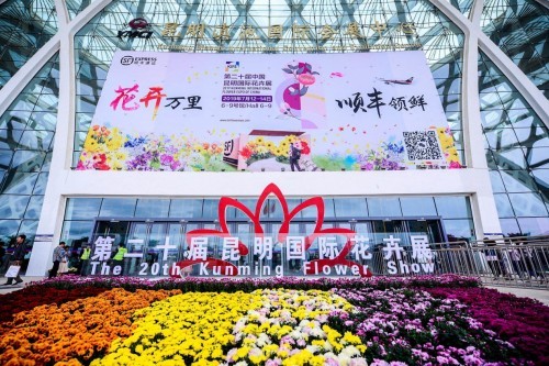 以色列空運-鮮花“十二時辰” 看順豐(feng) 助力“雲(yun) 花”出滇