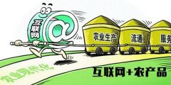 上海貨運公司-看地標單品如何破解縣域農產品電商發展困境