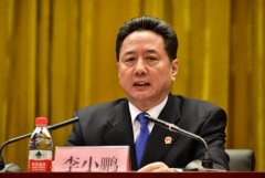 空運一噸貨物到洛杉磯-李小鵬在部安委會上強調：推進安全生產治理體係和治