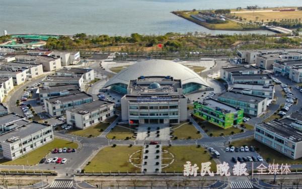 國際快遞查詢-上海海事法院製定《實施意見》服務保新片區建設
