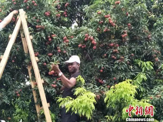 世界工廠、籃球城市……東(dong) 莞，其實也沒什麽(me) 