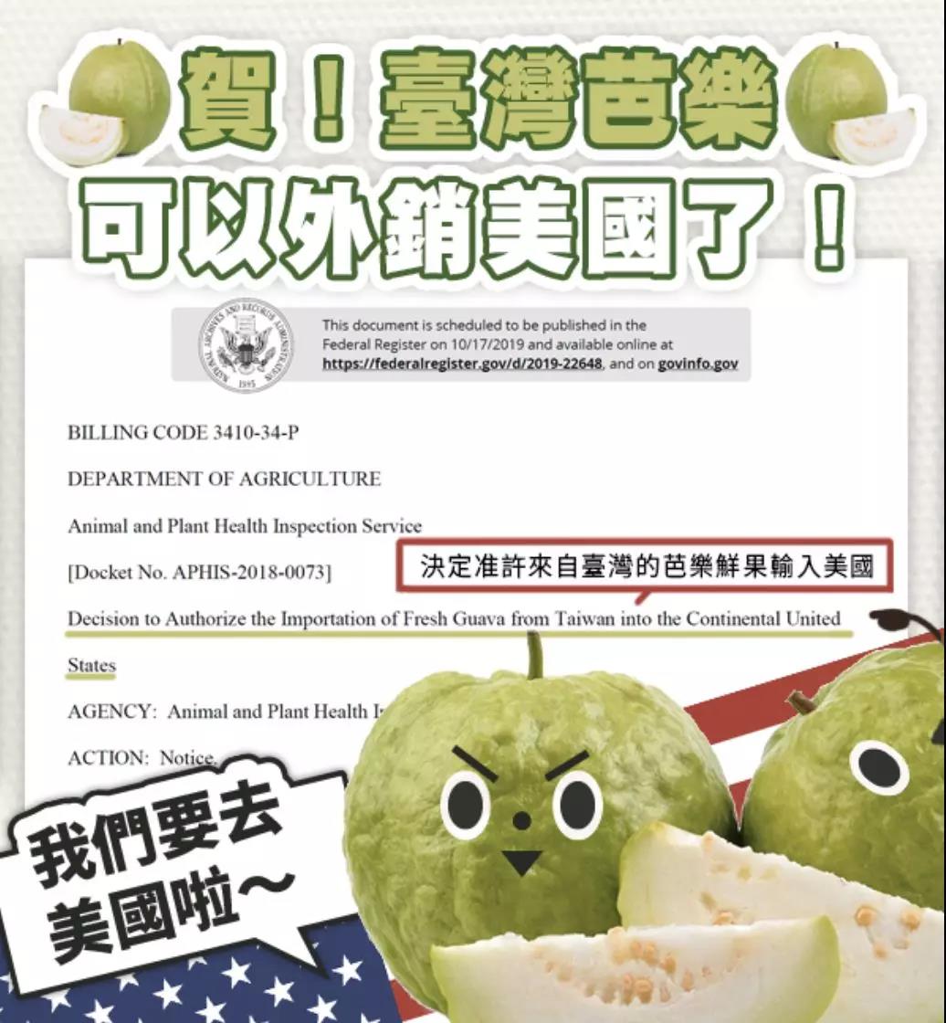 海運費-驕傲！2019年的最後一天，陽明海運幹了這件事…