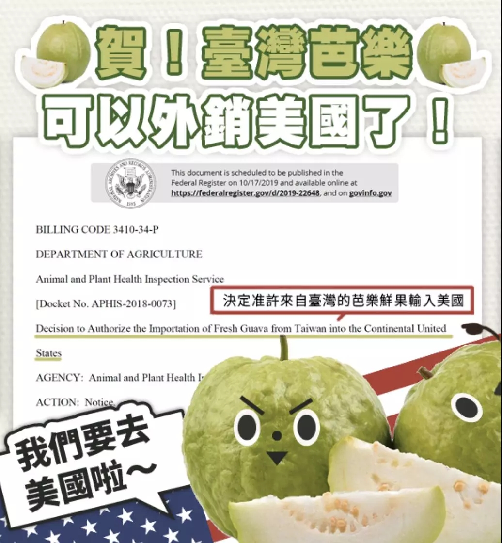 空運一噸貨物到洛杉磯-驕傲！2019年的最後一天，陽明海運幹了這件事（附圖）