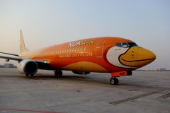 海運報價-合肥新橋機場境外航空公司境外航班陸續取消