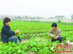 埃塞俄比亞-長沙國際會展中心選址黃興鎮 汙染之鄉轉型/圖