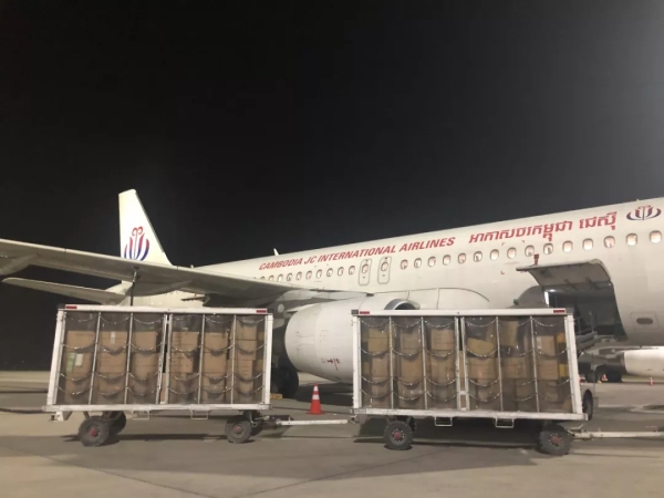 海運費在線查詢-柬埔寨JC國際航空助力運送防疫醫療物資