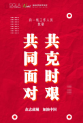 國際貨代-關於新型冠狀病毒肺炎疫情延誤船企生產的分析意見