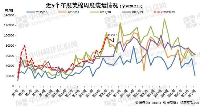 美棉出口持續強勁 中國采購拐點何時到來？