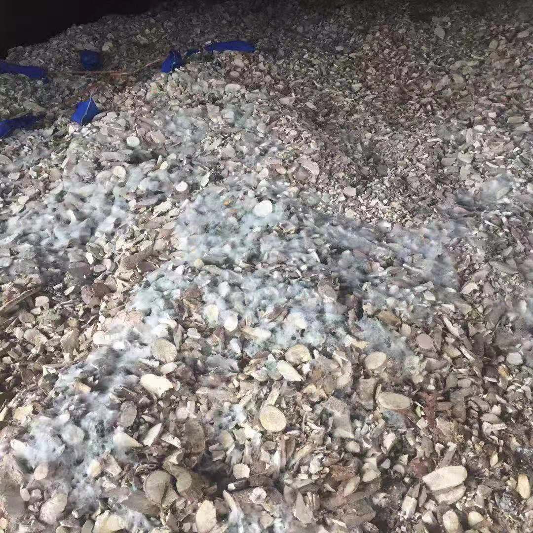 蘇黎世空運價(jia) 格防損小貼士 - 海運木薯幹貨物的黴變風險及應對措施