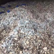 蘇黎世空運價格防損小貼士 - 海運木薯幹貨物的黴變風險及應對措施