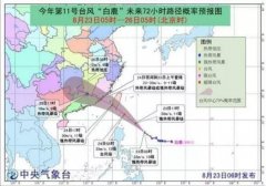 台風藍色預警:“白鹿”24日或正麵登陸福建！-運費報價