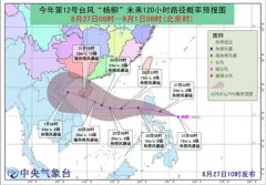 快訊！第12號台風“楊柳”正式生成周末或登陸海南-國際物流查詢
